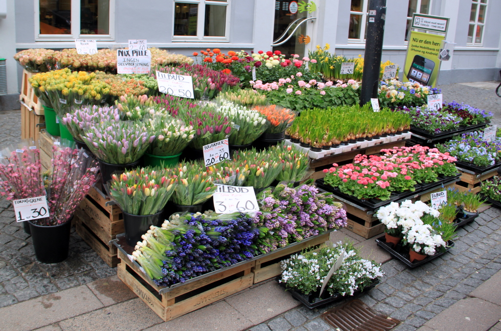 Весна в Копенгагене