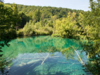 Плитвитские озера. Хорватия