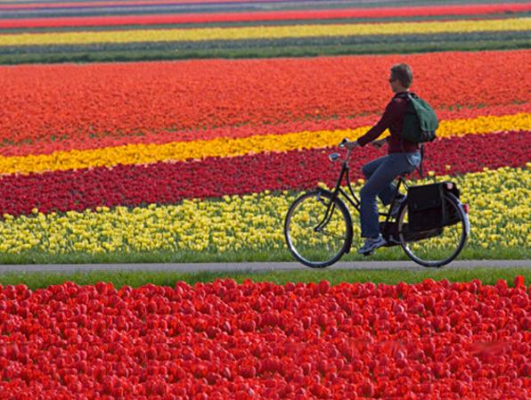 По Амстердаму на велосипеде